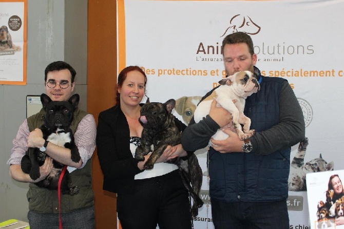 Secret of Bulldogs Stars  - Animal solution présent aux championnat de france 2016